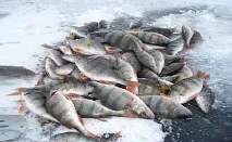 відгуками