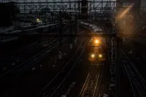 Якось у мене врізався голуб якось