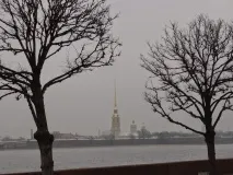 Якось у мене врізався голуб якось