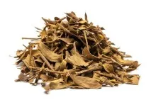 властивості