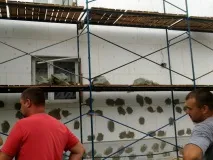воронежі