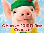 Листівки з новим роком Собаки 2018 собаки