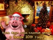 Листівки з новим роком Собаки 2018 новим