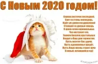 Листівки з новим роком Собаки 2018 роком