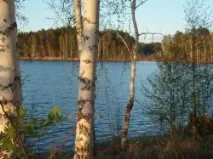 Озеро Доронькине Челябінської області озера