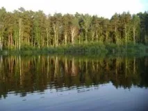 Озеро Доронькине Челябінської області челябінської