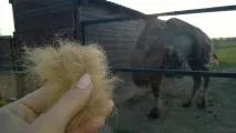 парк
