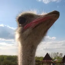 парк