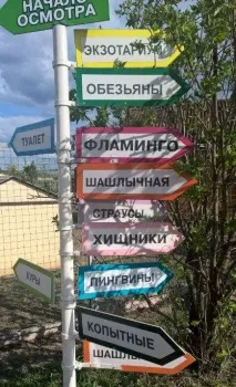 птахів