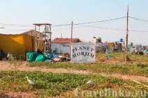 Пляж Морджим Гоа в Індії опис, житло, відгуки туристів морджим