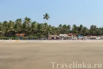 Пляж Морджим Гоа в Індії опис, житло, відгуки туристів морджим
