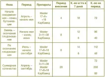 Підживлення полуниці або другий бік поживної медалі, Ягідний сад, або прикладне садівництво в полуниці
