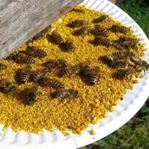 підживлення