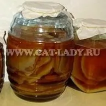Користь та шкода чайного гриба лише незаперечні факти, підтверджені дослідженнямивчених шкода
