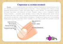 Презентація на тему Все про нігті - інше, презентації тему