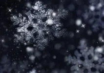роком
