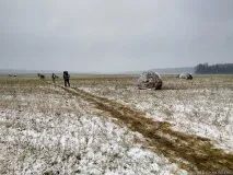 Про болота, сніг та брудну жижу сніг