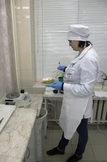 Перевірка якості, або Як на столичних ринках шукають нітрати в огірках та радіацію у журавлині перевірка