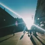 Пташенята гнізда Петрівки - The Vyshka гнізда