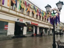 Пташенята гнізда Петрівки - The Vyshka петрівки