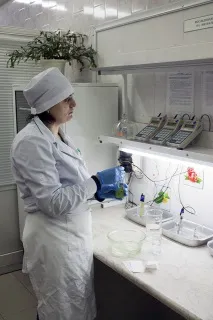 Перевірка якості, або Як на столичних ринках шукають нітрати в огірках та радіацію у журавлині столичних