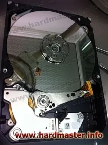 seagate
