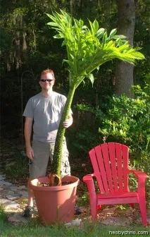 Найбільш незвичайні квіти вона