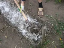 Чим удобрити землю восени під огірки удобрити