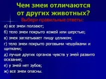 Чим змії відрізняються від інших тварин - Презентація 233965-8 змії