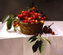 ЧЕРЕШНЯ - ЛІКИ З ГІЛКИ багато
