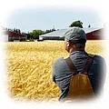 Сільське господарство (АПК) - Санкт-Петербург та ЛВ, Єдина довідкова, Санкт-Петербург господарство