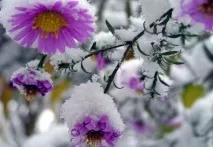 Сентябринки