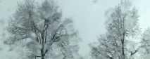 Сергій Капличний Лайфлист знову