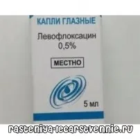 Сигніцеф (очні краплі) - інструкція, застосування, показання, протипоказання, дія, побічні очні