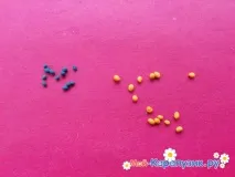 Сніжинка із пластиліну сніжинка