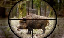 полювання