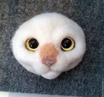 котоброш