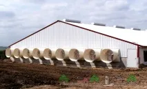 Свинарник на 50 голів своїми руками фото та відео огляд голів