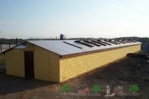 Свинарник на 50 голів своїми руками фото та відео огляд своїми