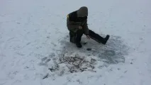Темпова зимова рибалка на Петровичському водосховищі темпова
