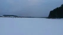 Темпова зимова рибалка на Петровичському водосховищі рибалка