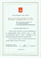 «Мостозагін