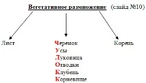 Урок-презентація -Розмноження та його види урок-презентація