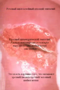 дізнайся