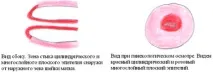 дізнайся