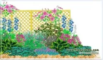 Вертикальний квітник на шпалері своїми руками (схема та план посадок), Сайт про сад, дачу та кімнатні руками