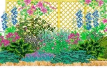 Вертикальний квітник з клематисом та гортензією на шпалері своїми руками вертикальний