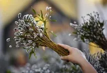 Вербна неділя 2017 Прекрасна Половина 2017