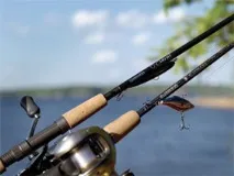 вудилища