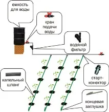 Види мульчі для городу городу